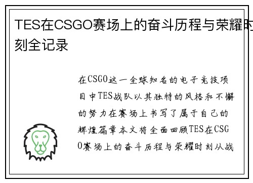 TES在CSGO赛场上的奋斗历程与荣耀时刻全记录